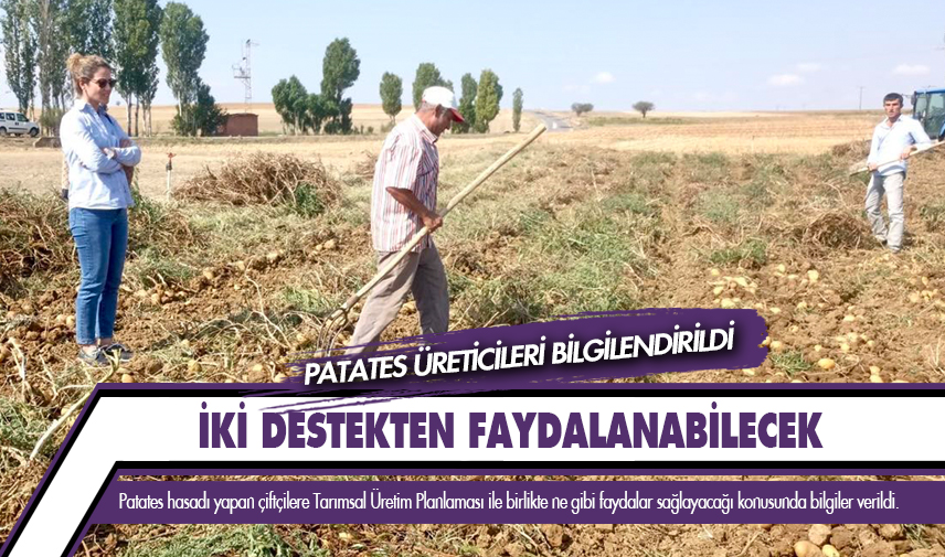 Patates üreticileri iki destekten faydalanabilecek